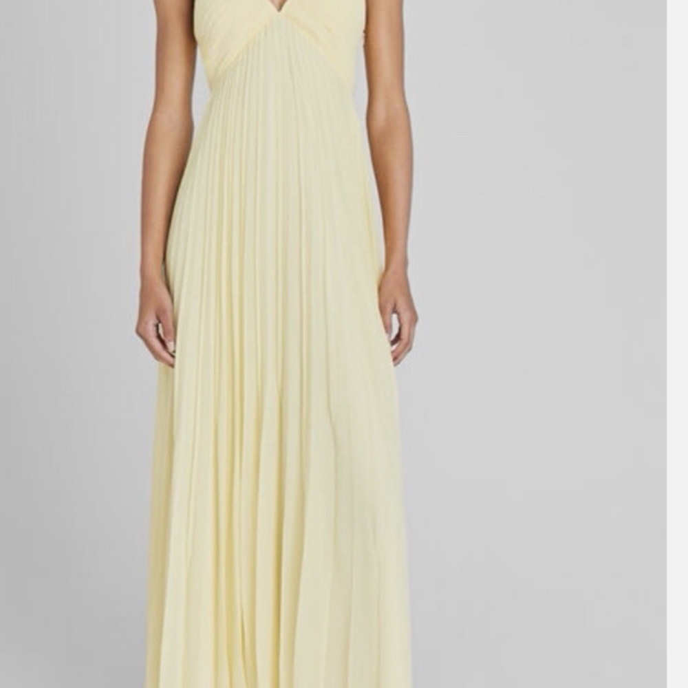 Club Monaco Pleated Maxi Dress